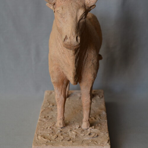 Quattrini O., Sculture